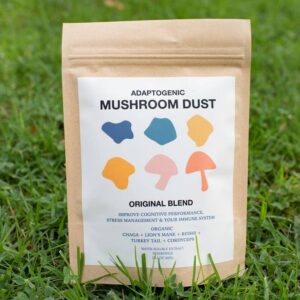 Adaptogenic Mushroom Dust